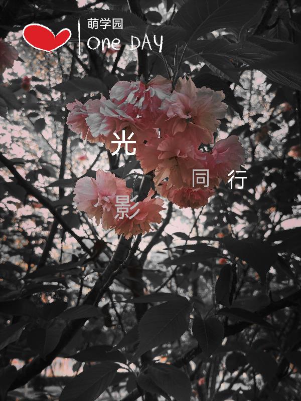 萌学园光影公主