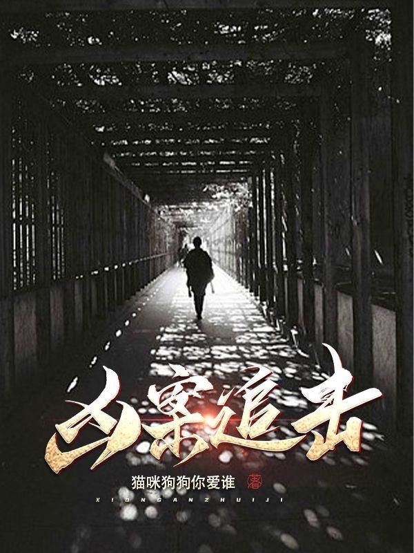 凶案追击巨石