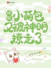 娇软小萌包又被神明撩走了小说