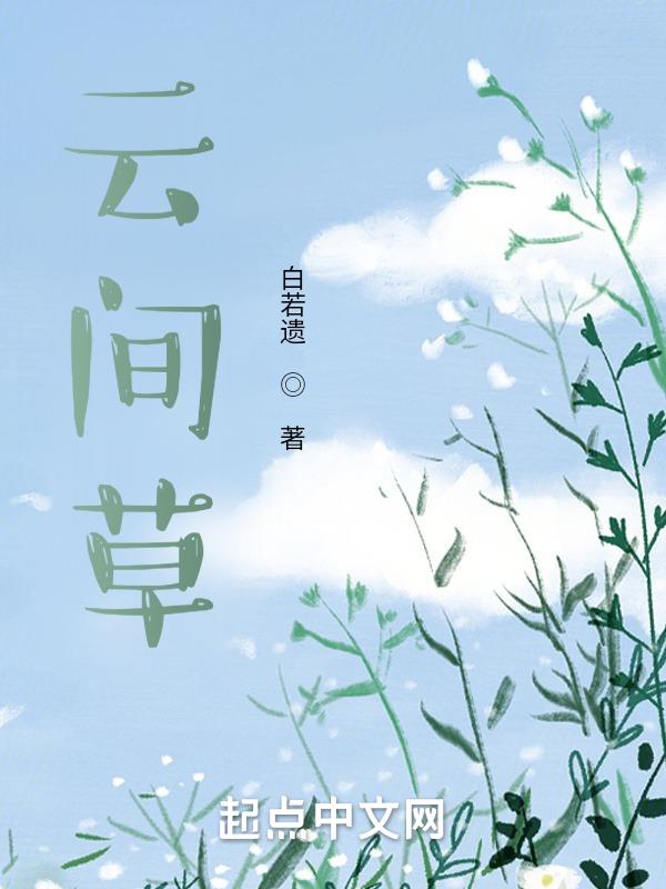 云间小说