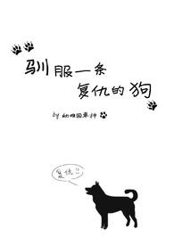 驯服一条复仇的狗笔趣阁