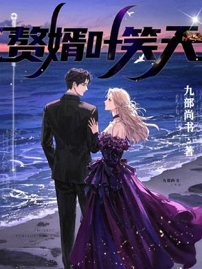 赘婿叶笑天