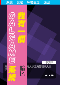 一个galgame游戏程序