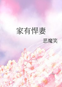 家有悍妻