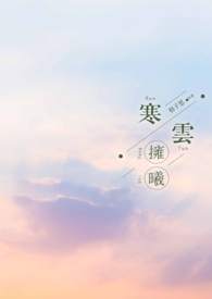 寒云带飞雪日暮雁门关什么意思