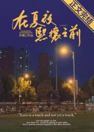 在夏夜熙攘之前txt