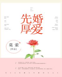先婚厚爱陆繁星